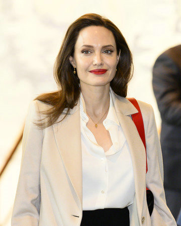 伤后获安吉丽娜·朱莉问候 任达华开心:她是我女神