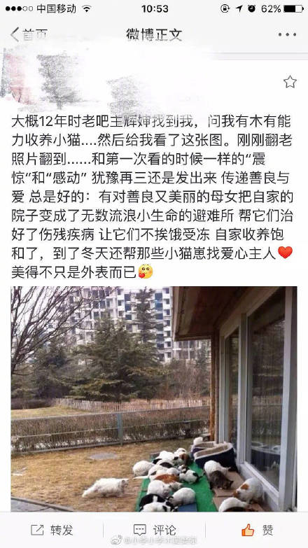 明星养宠物的实况 朱正廷堪称宠物博主